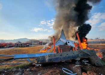 Çfarë dihet nga rrëzimi i avionit me 181 persona në bord në Korenë e Jugut?