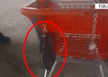 “Mrekullia” e festave! Qytetarit në Tiranë i humbin 27 mijë euro, ia kthen policia (Video)