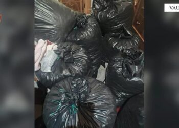Përshtati banesën për kultivim droge, pranga pronarit dhe 3 familjarëve të tij në Shkodër