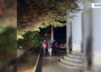 Armë, kokainë dhe mijëra euro! 4 të prangosur në Korçë, mes tyre një 17-vjeçare dhe një turk