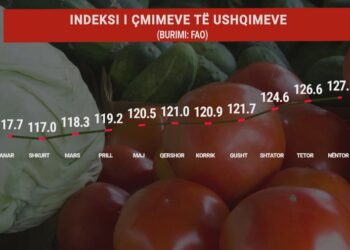 Festa më të shtrenjta? Çmimet e ushqimeve në botë po rriten këtë fundvit