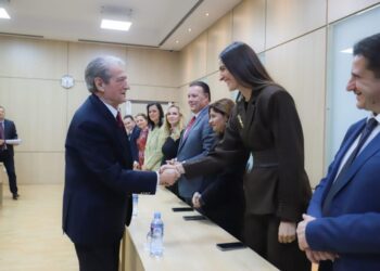 PD prezanton Këshillin Koordinues për Diasporën, zbardhen emrat që e drejtojnë