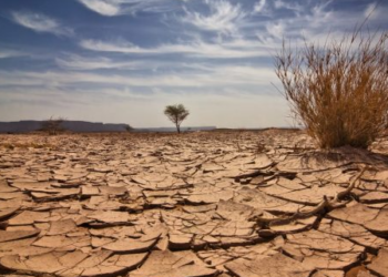 Temperatura mesatare globale u rrit me 1.5 gradë! 2024 mund të jetë viti më i nxehtë në histori