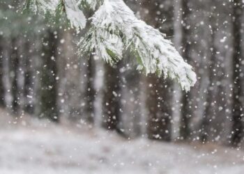 Mot i paqëndrueshëm, muaji dhjetor nis me reshje shiu dhe borë në zonat malore