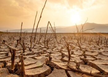 I nxehtë rekord gjatë 2024-ës! Thirrja e Guterres: Të shmangim rrugën drejt katastrofës