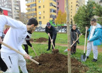 “Eqerem Çabej” i bashkohet aksionit për mbjelljen e pemëve, Veliaj: Transformim i jashtëzakonshëm i Tiranës