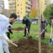 “Eqerem Çabej” i bashkohet aksionit për mbjelljen e pemëve, Veliaj: Transformim i jashtëzakonshëm i Tiranës