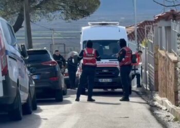 Vrau burrin me sëpatë në Sarandë, mbyllet në spital psikiatrik 48-vjeçarja