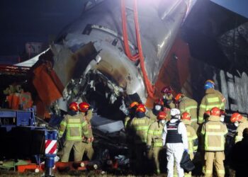 Përplasja e avionit me 177 të vdekur, Koreja e Jugut shpall 7 ditë zi kombëtare! Viktimat nga 3 deri ne 78 vjeç