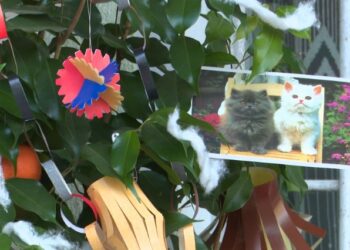 Pema tradicionale e Vitit të Ri, sa ka ndryshuar tradita para e pas viteve 90