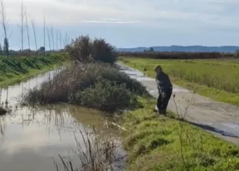 Përmbyten tokat nga reshjet e shiut në Divjakë, dëmtohen të mbjellat dhe ura lidhëse mes fshatrave