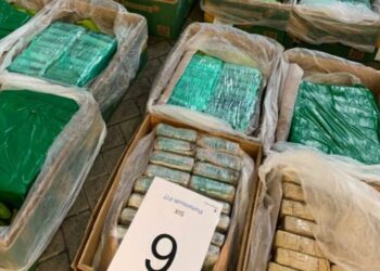 200 mln paund kokainë në ngarkesën me banane, lihen në burg 4 shqiptarët dhe bullgari; si u fundosën