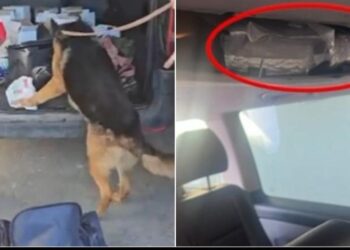 Kapen 3.4 kg kokainë në pikën kufitare të Muriqanit, arrestohet shoferi i furgonit