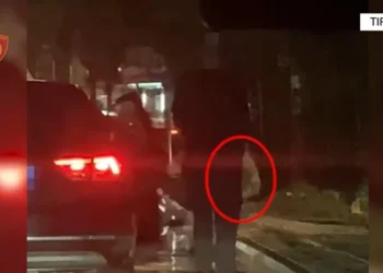 Sekuestrohet kokainë me vlerë 270 mijë euro, arrestohen dy të rinj në Tiranë, Policia jep detaje