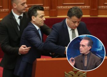 Sherri mes deputetëve të PD dhe Shehajt në Kuvend, Baçi: Bëri mirë që kërkoi interpelancë, s’mund ta marrim me zor!