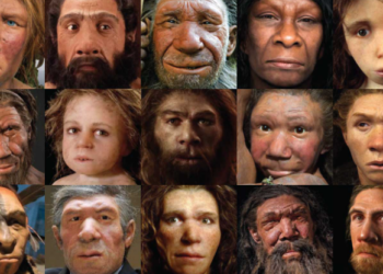 Neandertalët në Vlorë! Si u gjetën materialet e rëndësishme që ndryshojnë historinë për Shqipërinë