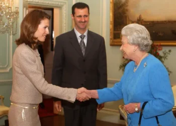 Dikur simbol i lirisë, sot i mizorive! Si u shndërrua “trëndafili i shkretëtirës” në sinonimin e regjimit të ferrit