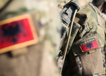 Në ndihmë të Kievit/ Ushtarët shqiptarë do të trajnojnë ukrainasit në bazën e NATO-s