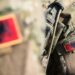 Në ndihmë të Kievit/ Ushtarët shqiptarë do të trajnojnë ukrainasit në bazën e NATO-s