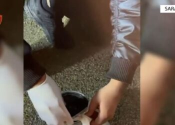 Sarandë/ Prodhonte dhe shiste vaj kanabisi, vihet në pranga 35-vjeçari, çfarë iu gjet në banesë (VIDEO)