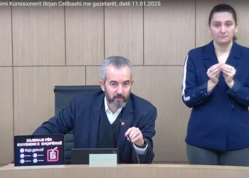 Vota e Diasporës, Celibashi shpjegon procedurën, sa emigrantë janë regjistruar deri më tani