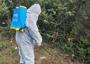 Gripi i shpendëve, grupet e punës në terren, dezinfektohet Laguna e Karavastasë