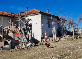 Varfëria ekstreme në familjen Çela në Gramsh: 20 vetë në një shtëpi, të sëmurë dhe me…