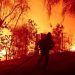 Zjarre katastrofike në Kaliforni, 5 viktima, evakuohen mbi 13 mijë persona