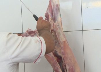 “Nuk merret më njeri me blegtori”/ Vitin e shkuar Shqipëria importoi 84 milionë euro mish