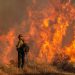 Zjarret në Los Anxhelos / Rritet në 24 numri i viktimave, frikë për stuhi ere