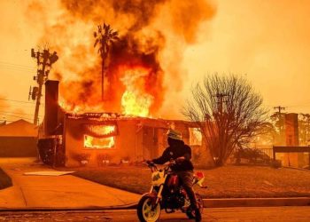 Çfarë i shkaktoi zjarret vdekjeprurëse në Los Anxheles?