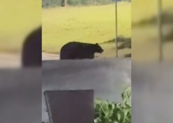 Momente tmerri, ariu futet në shtëpinë e ish-futbollistit Martin Demichelis