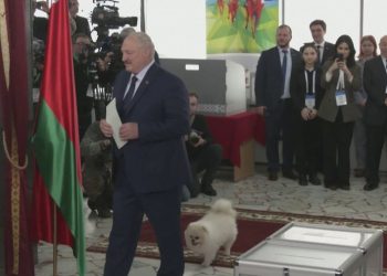 “Ankth i madh” për rezultatin, zgjedhjet në Bjellorusi, Lukashenko voton me qenin
