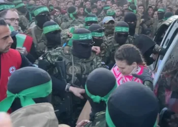 Armëpushimi në Gaza/ Hamasi liron tre pengjet e para izraelite, iu dorëzuan ushtrisë nga punonjësit e Kryqit të Kuq