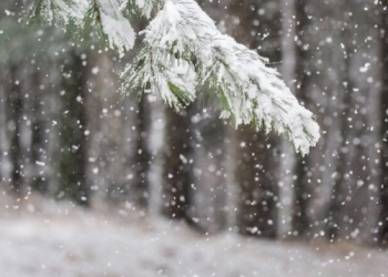 E diela mbuloi Shqipërinë me dëborë, por si parashikohet moti për javën e ardhshme