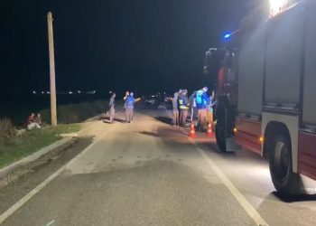 Dy makina përplasin tufën me bagëti të imta në Elbasan-Tiranë, ngordhin 24 krerë dhi