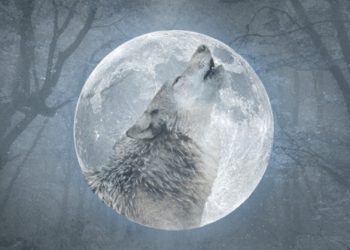 Hëna e ujkut! Tensione dhe vështirësi, shenjat që do e përjetojnë më intensivisht këtë janar