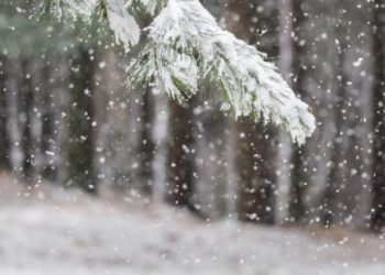 Moti i acartë në Shqipëri, meteorologia tregon nëse do të ketë reshje dëbore në Tiranë