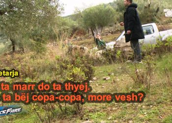 E moshuara: Bollano i Omonias do t’më vjedhë pronën. Familja kërcënon gazetarët: Do t’ju thyejmë kamerën!