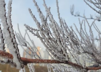 Moti për sot me kthjellime dhe vranësira, vijon ngrica në zonat malore