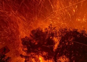 Zjarri në Kaliforni i qëllimshëm? Kompanitë e sigurimeve anuluan kontratat pak muaj para katastrofës