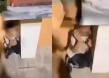VIDEO/ Ekstremistët e djathtë terrorizojnë të miturin në Greqi, e detyrojnë të…