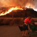 Zjarre të furishme dhe erërat e “djallit”, çfarë pritet të ndodhë me Los Angeles?