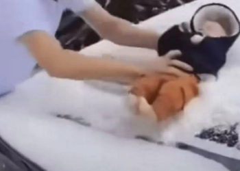 “Çfarë po bën ky idiot?!”, babai fshin borën e makinës me foshnjen 3 muajshe. Nëna e filmon