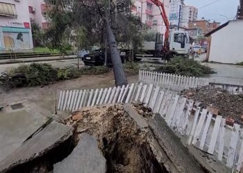 Stuhi ere në Lushnjë! Disa fshatra pa energji, rrëzohen pemë dhe objekte