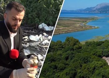 Masakër mjedisore, liqeni i Butrintit mbulohet nga shishet e pesticideve të ndaluara