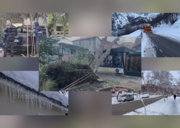 Si paraqitet situata e motit në Shqipëri: Nga shkuljet e pemëve deri te rëniet e depozitave
