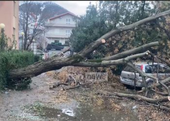 Era e fortë shkakton dëme në Lezhë, mijëra familje pa energji elektrike