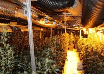 Shtëpi bari nën dyshemenë e restorantit, vihen në pranga dy shqiptarë në Austri