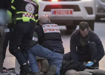 Publikohen pamjet/ Panik dhe kaos, momenti kur sulmohen me thikë qytetarët në Tel Aviv (Video)